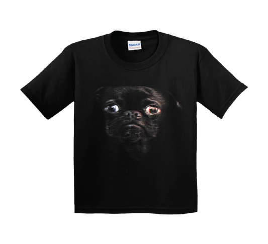 Pug